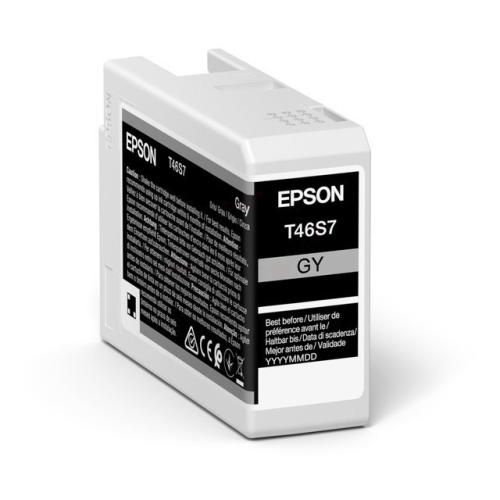 Epson spausdinimo kasetė pilka (C13T46S700 / T46S7)